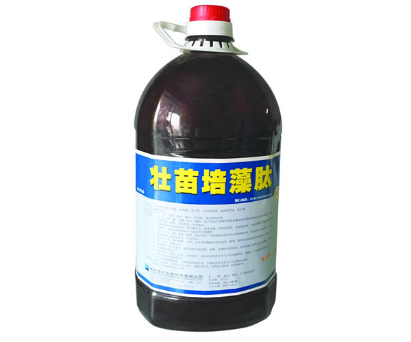壮苗培藻肽-5公斤.jpg